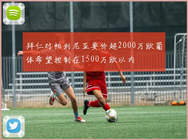 拜仁对帕利尼亚要价超2000万欧葡体希望控制在1500万欧以内