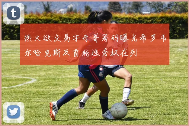热火欲交易字母哥筹码曝光希罗韦尔哈克斯及首轮选秀权在列